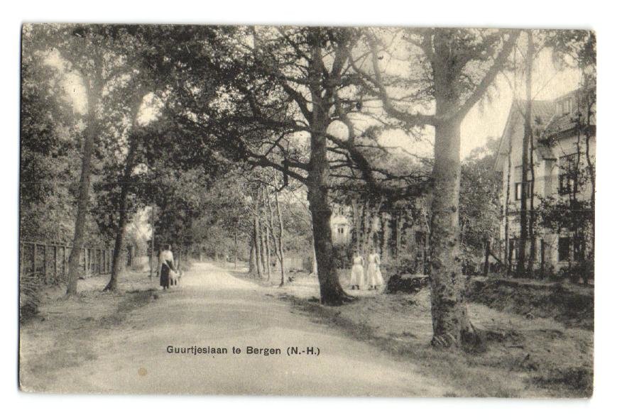 Guurtjeslaan — Bergen
