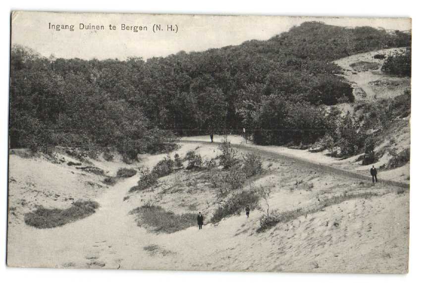 Duinen — Bergen
