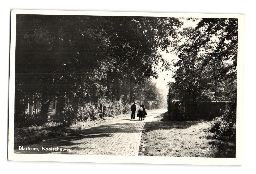 Noolseweg — Blaricum