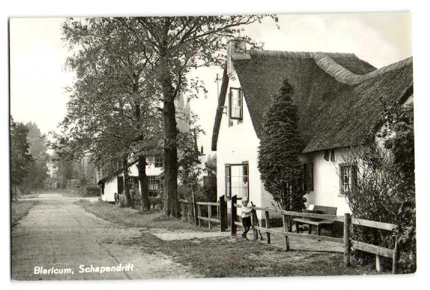 Schapendrift — Blaricum