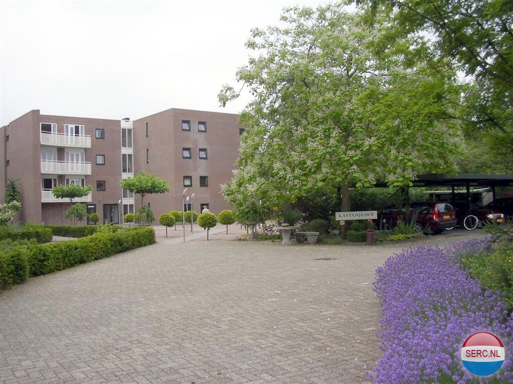 Kastanjelaan — Bloemendaal