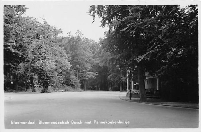 Bloemendaalse Bos — Bloemendaal