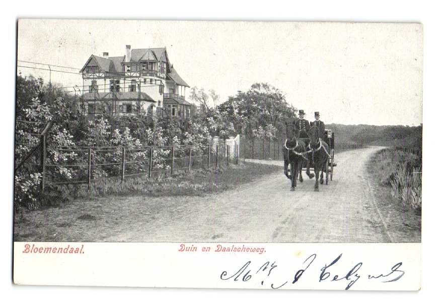 Duin en Daalscheweg — Bloemendaal