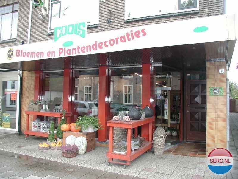 Dorpsstraat — Castricum
