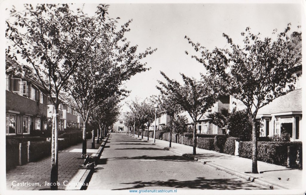 Jacob Catsstraat — Castricum