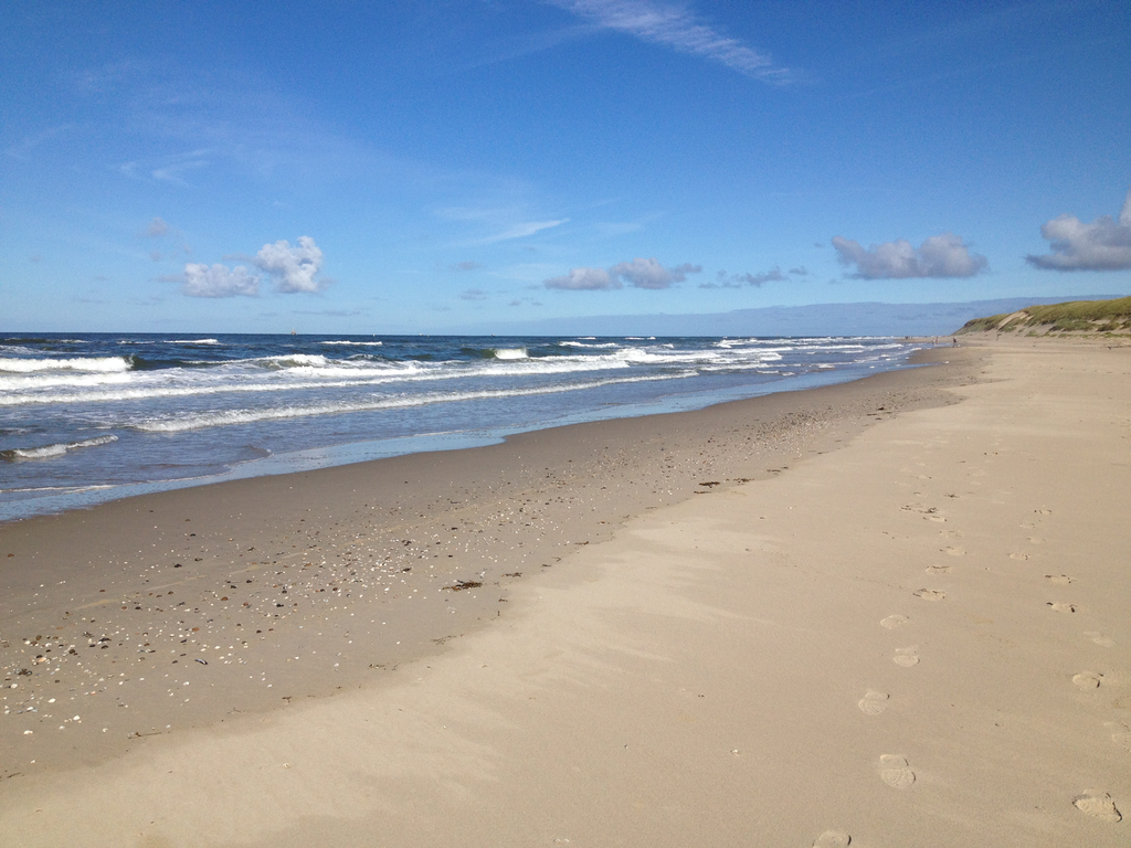 Strand — Texel