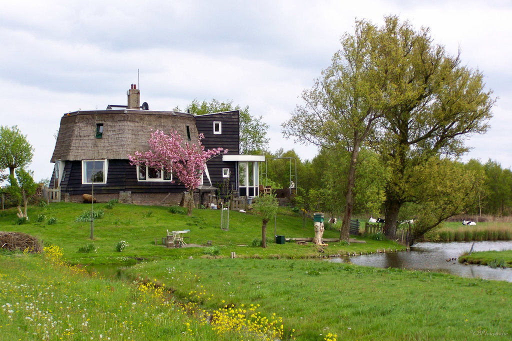 Oudelandsdijk — Driehuizen