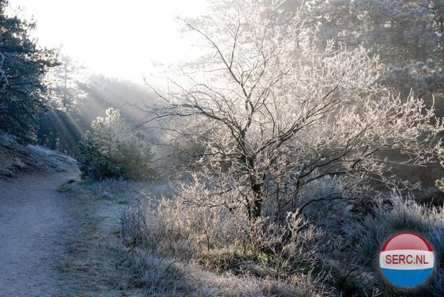 Achterweg — Groet