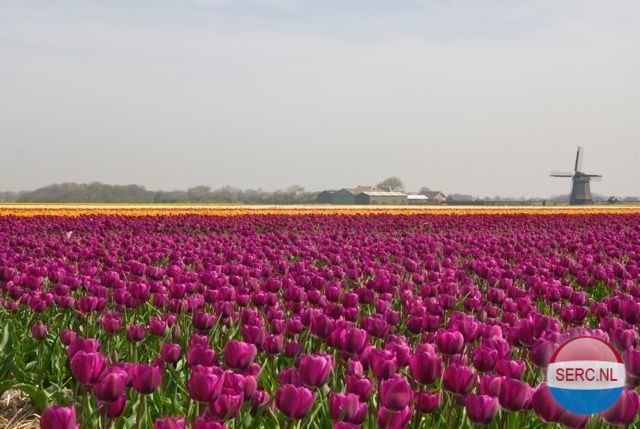 Achterweg — Groet