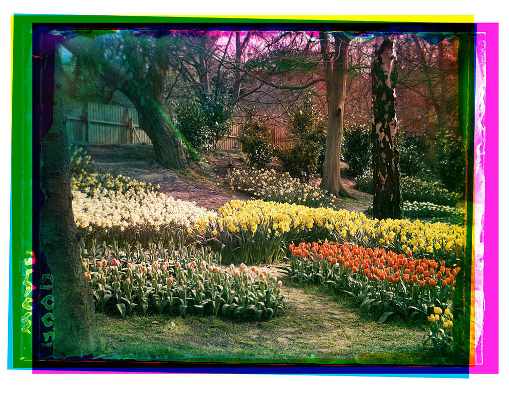 Flora — Heemstede