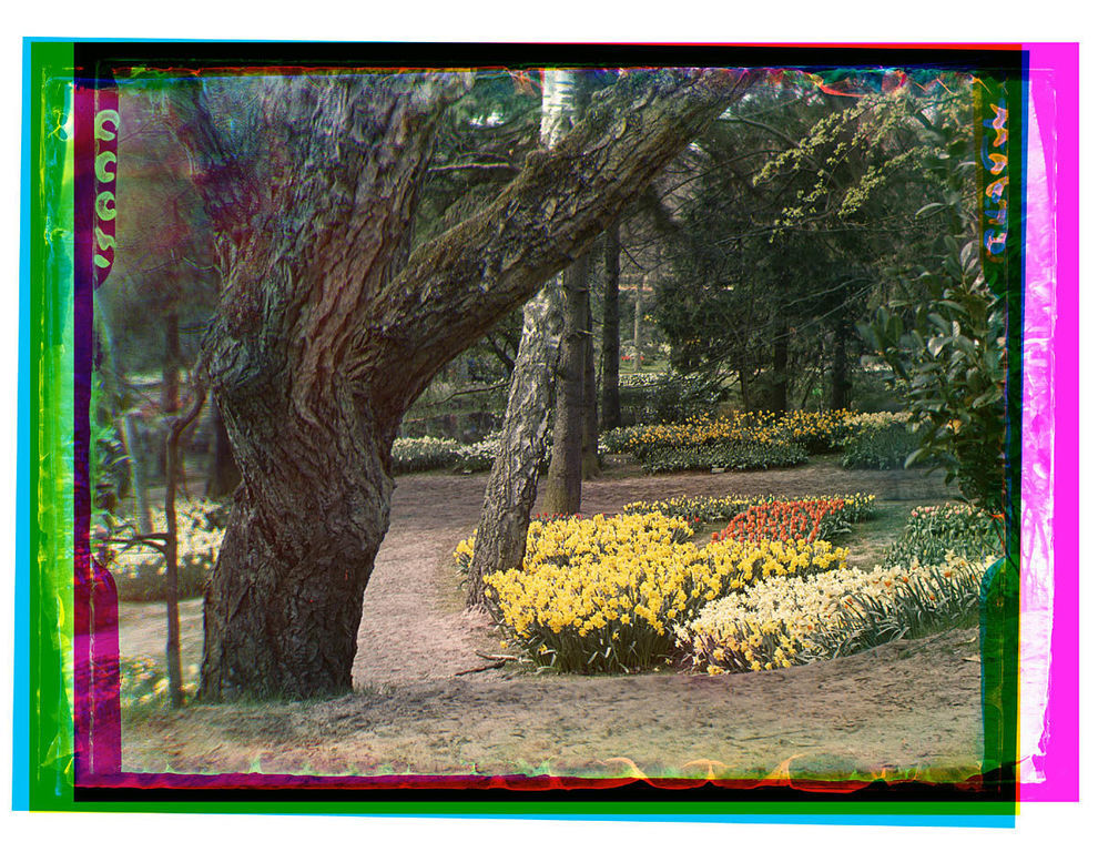 Flora — Heemstede