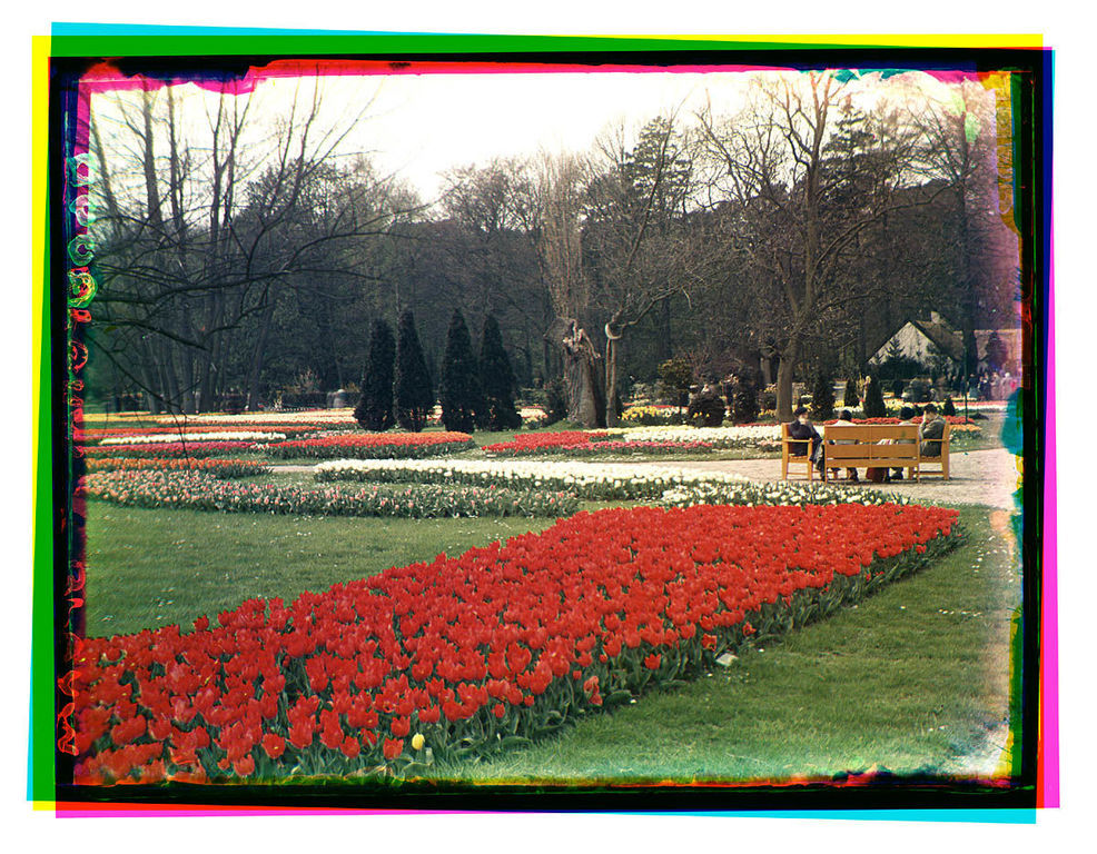 Flora — Heemstede