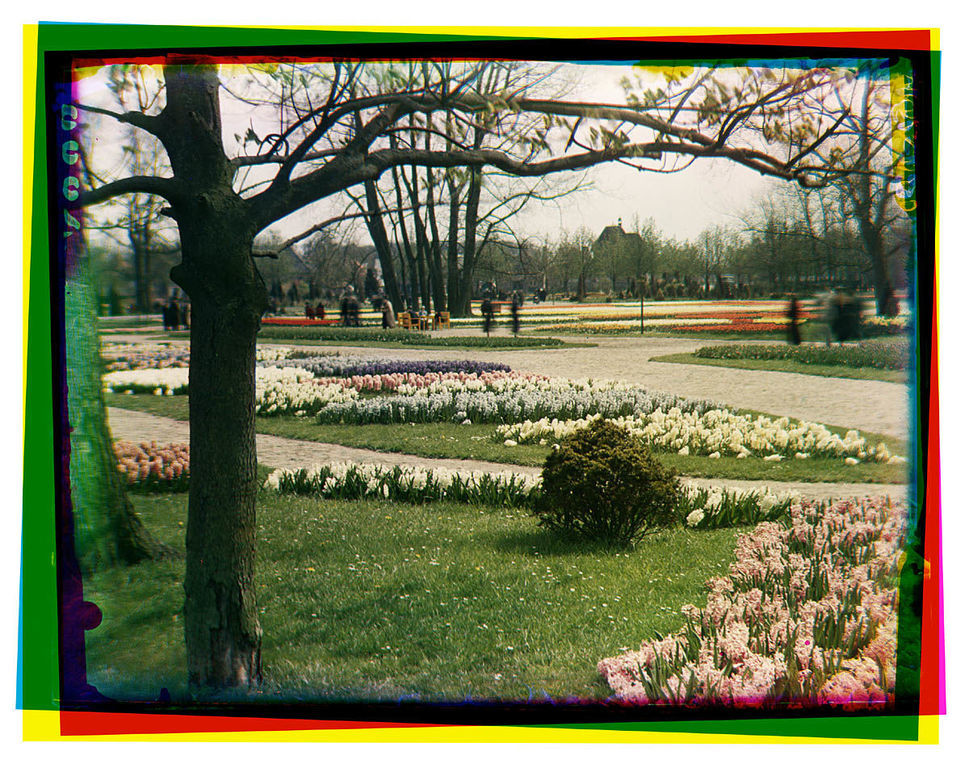 Flora — Heemstede