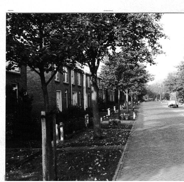Butterlaan — Heiloo
