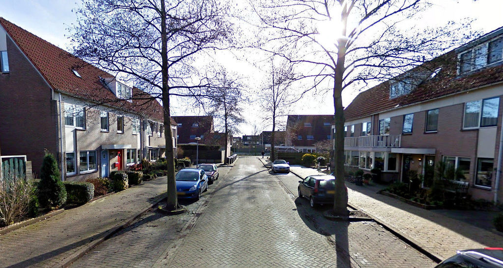 Ceder — Hoorn