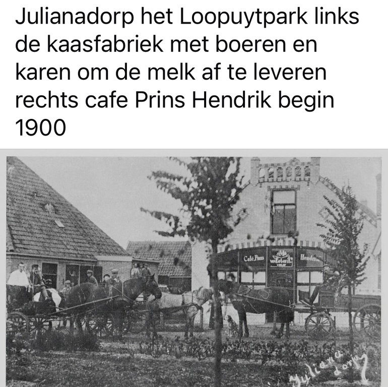 Loopuytpark — Julianadorp