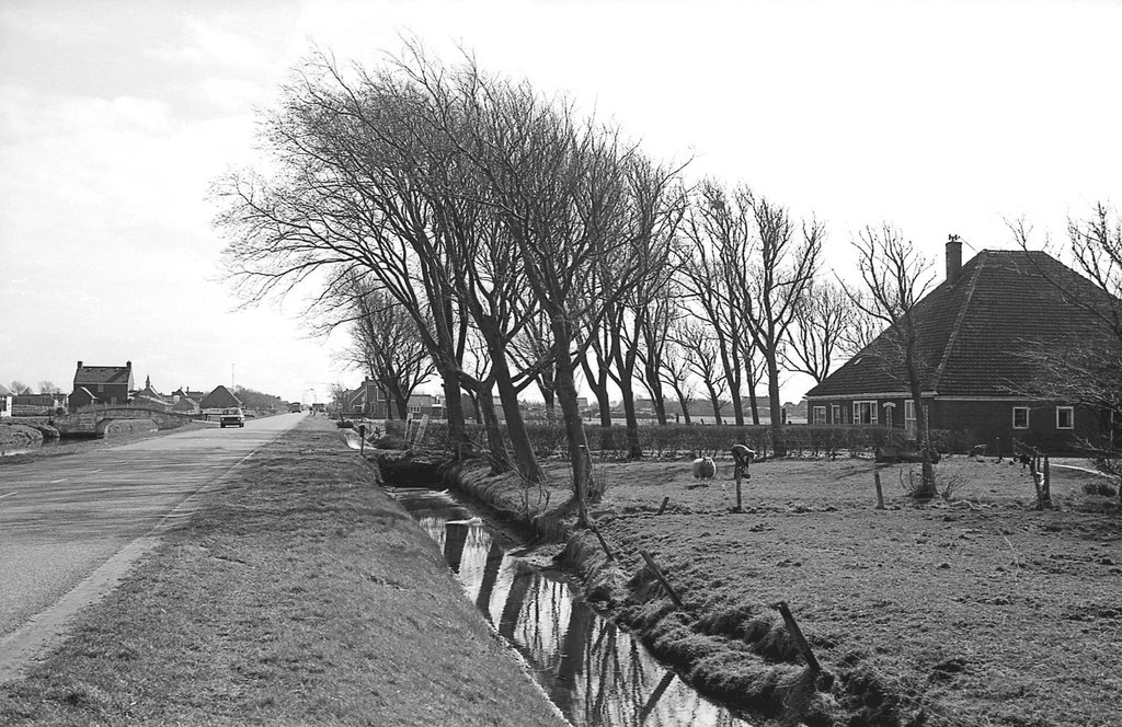 Langevliet — Julianadorp