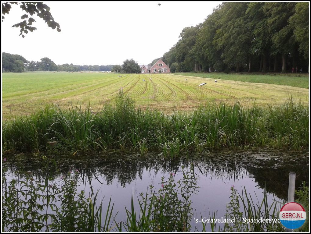 Spanderswoud 6 — 's-Graveland