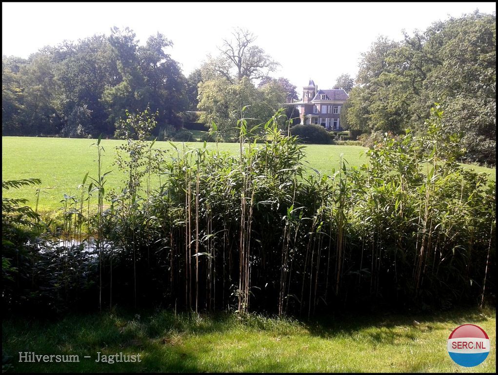 Leeuwelaan — 's-Graveland