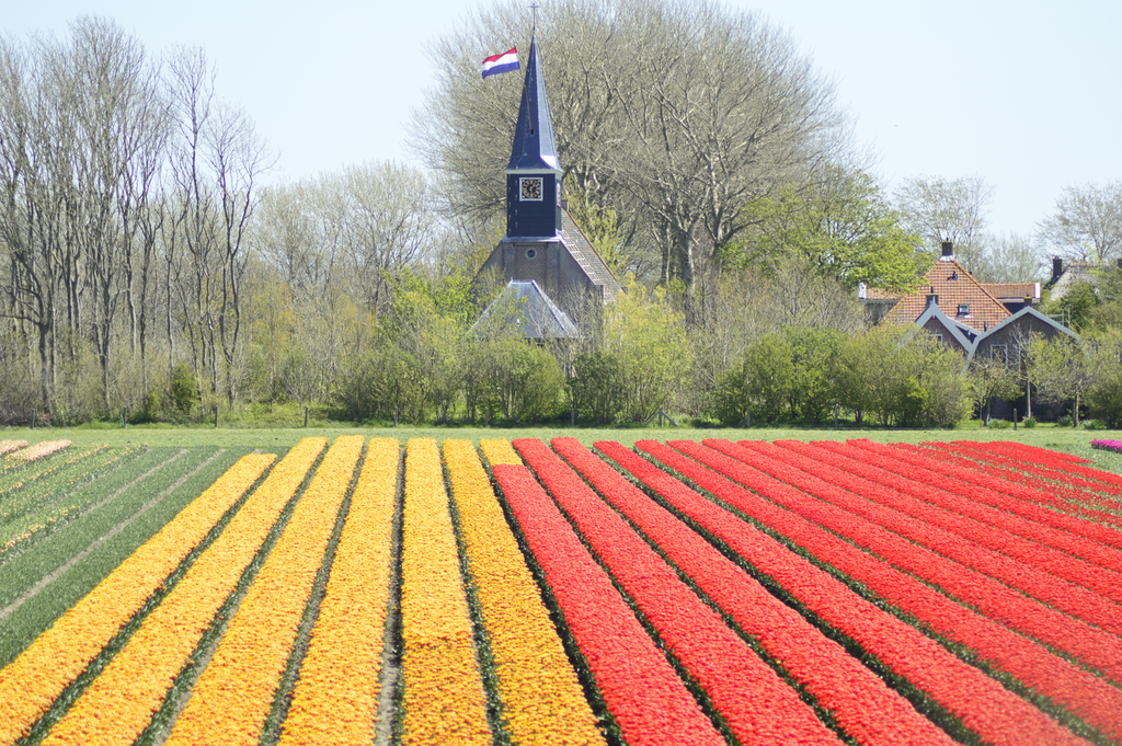 Eenigenburg — Schagen