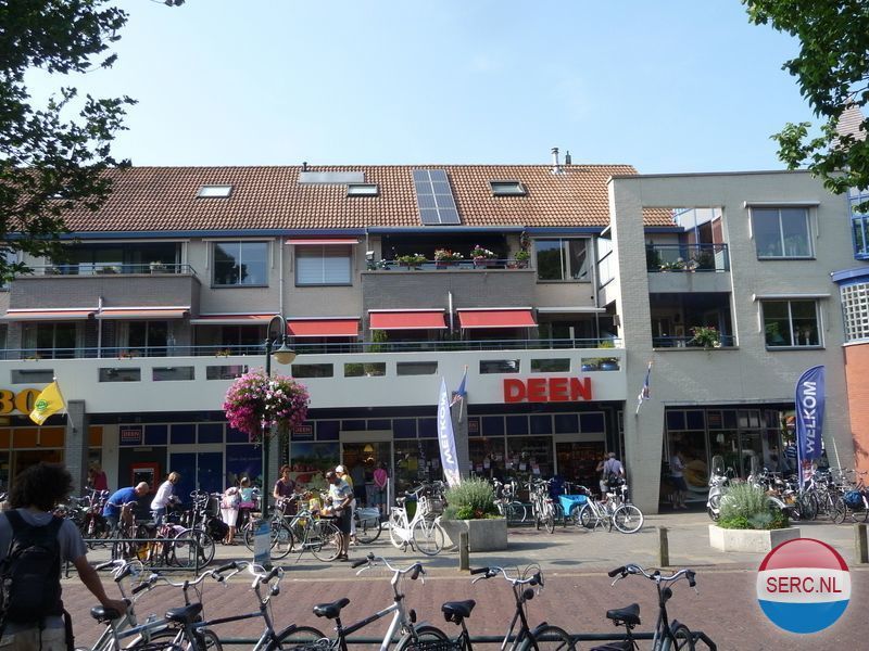 Roode Leeuw — Schoorl