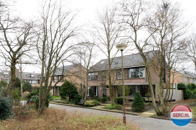 Duindoornplantsoen — Schoorl