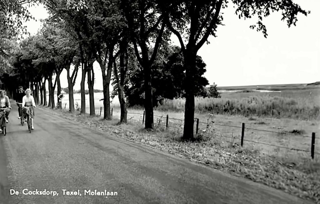 Cocksdorp — Texel