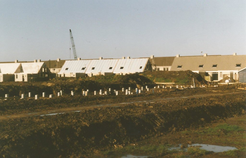 Gele Helmbloem — Velserbroek