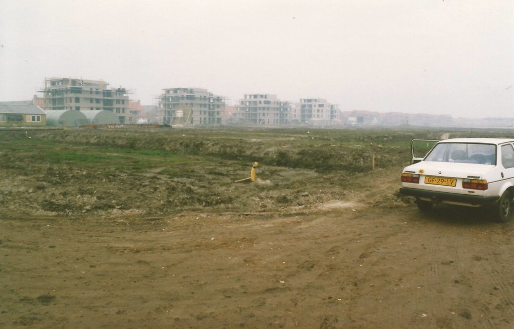 Gele Helmbloem — Velserbroek
