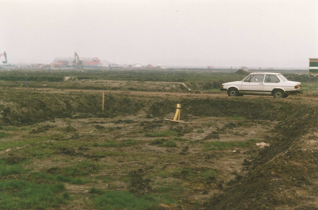 Gele Helmbloem — Velserbroek