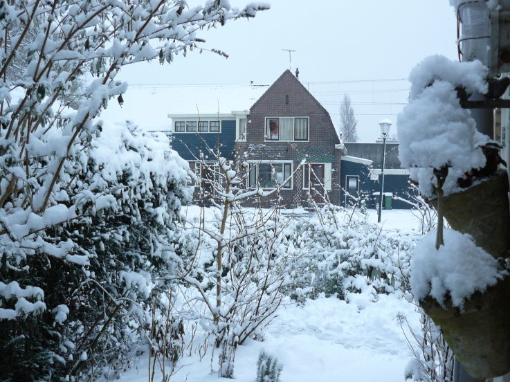 Blauwe Arendpad — Zaandam