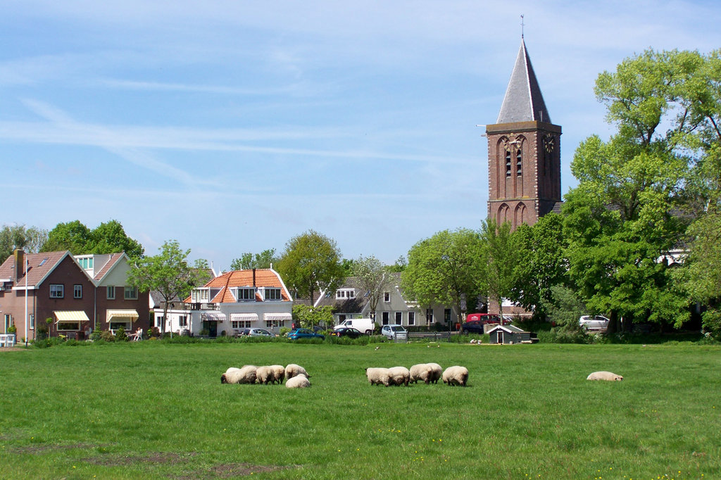 Nieuwe gouw — Zunderdorp