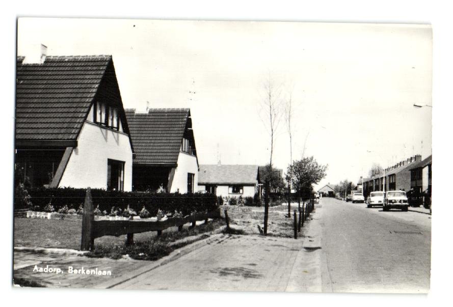 Berkenlaan — Aadorp
