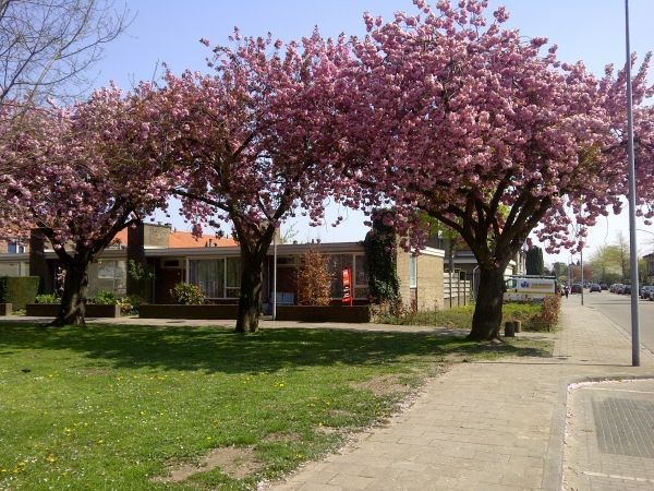 Beeklustlaan — Almelo
