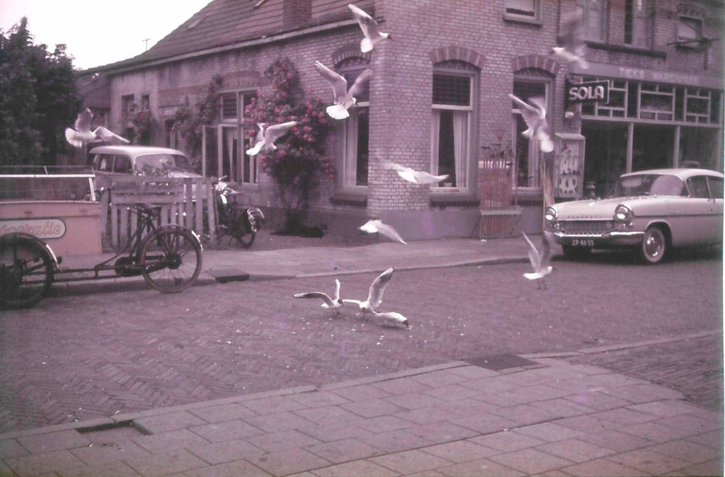 Marktstraat — Dedemsvaart