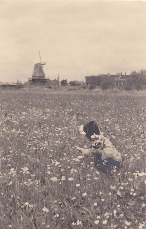 Panorama — Hasselt