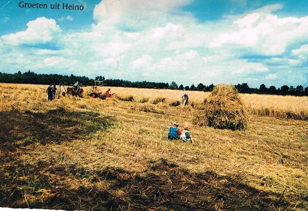 Ansichtkaart — Heino