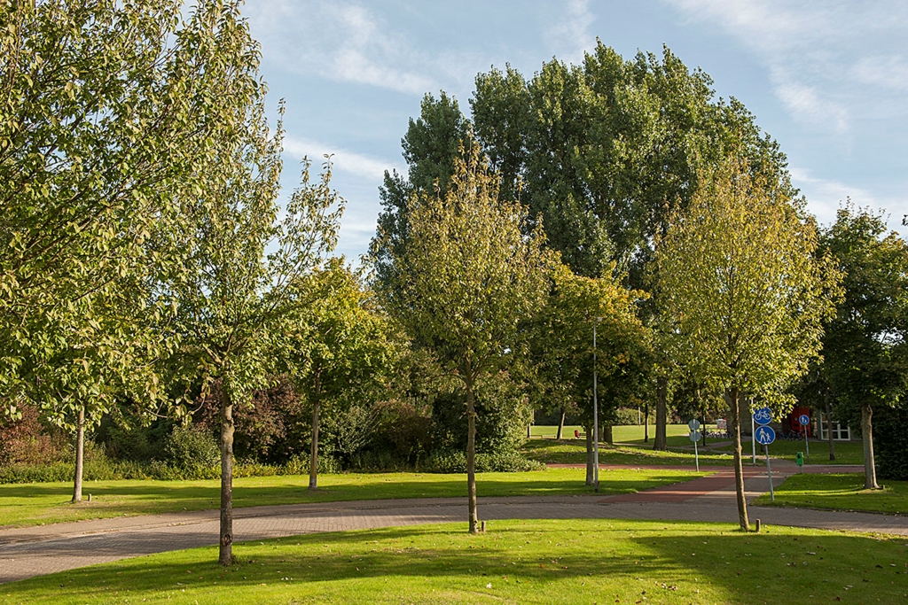 Bellinckhof — Hengelo