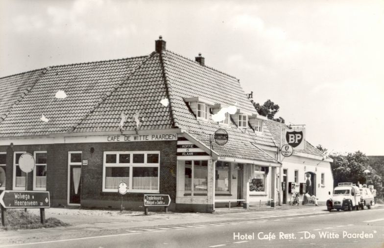 Steenwijkerweg — Witte Paarden