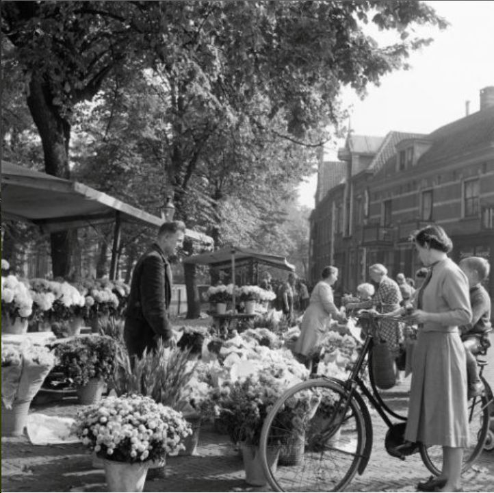 't Havik — Amersfoort