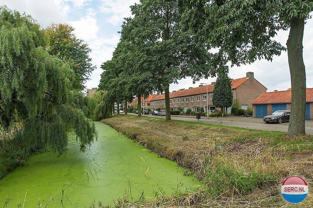 Albatrosstraat — Amersfoort