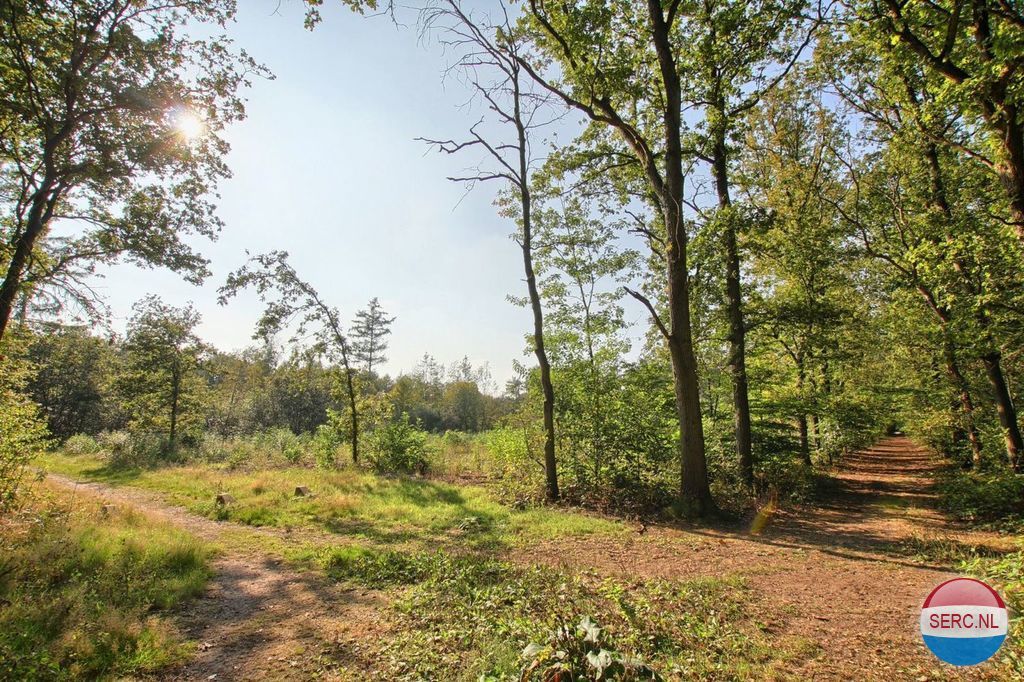 Oude Postweg — Austerlitz