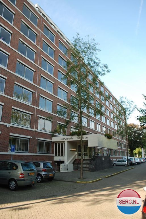 Biltstein — de Bilt