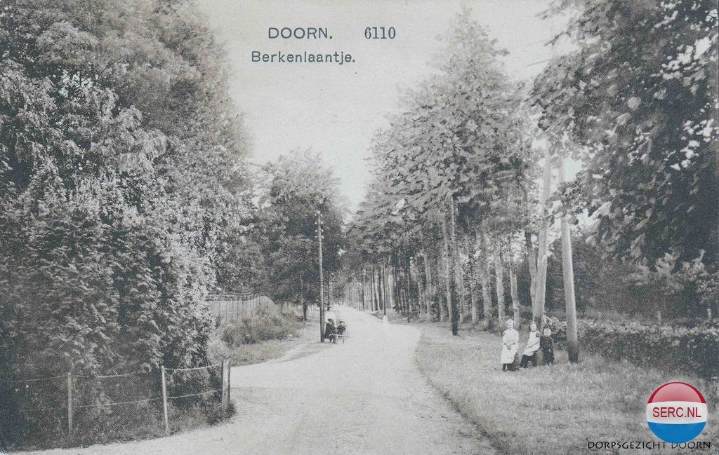 Berkenlaantje — Doorn