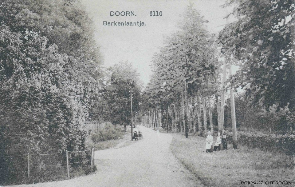 Berkenweg — Doorn