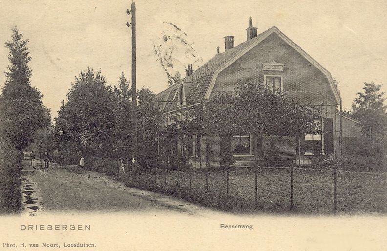 Dokter Hermansstraat — Driebergen