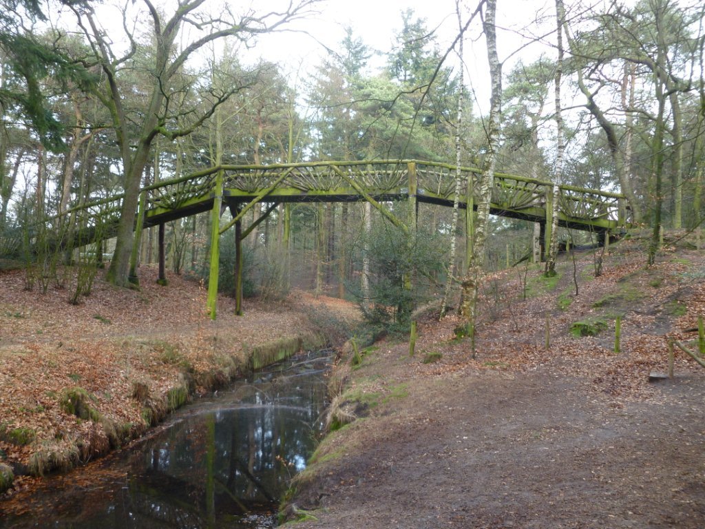 Driebergse bos — Driebergen