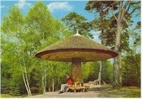Driebergse bos — Driebergen