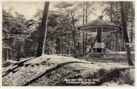 Driebergse bos — Driebergen