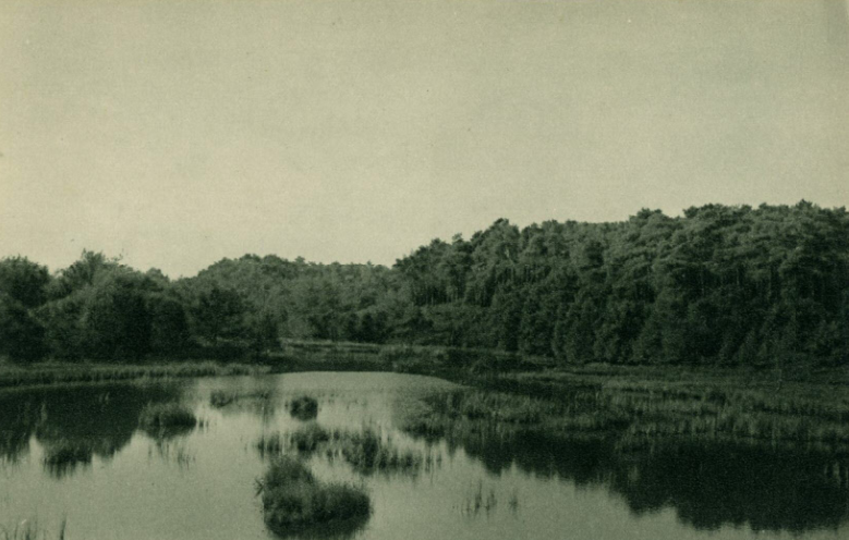 Henschotermeer — Maarn